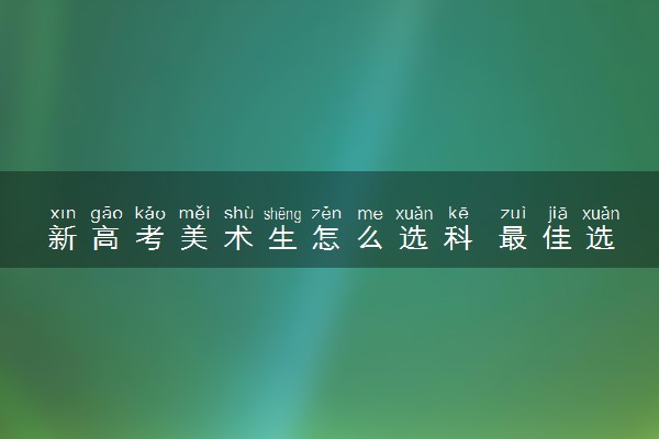 新高考美术生怎么选科 最佳选科组合有哪些