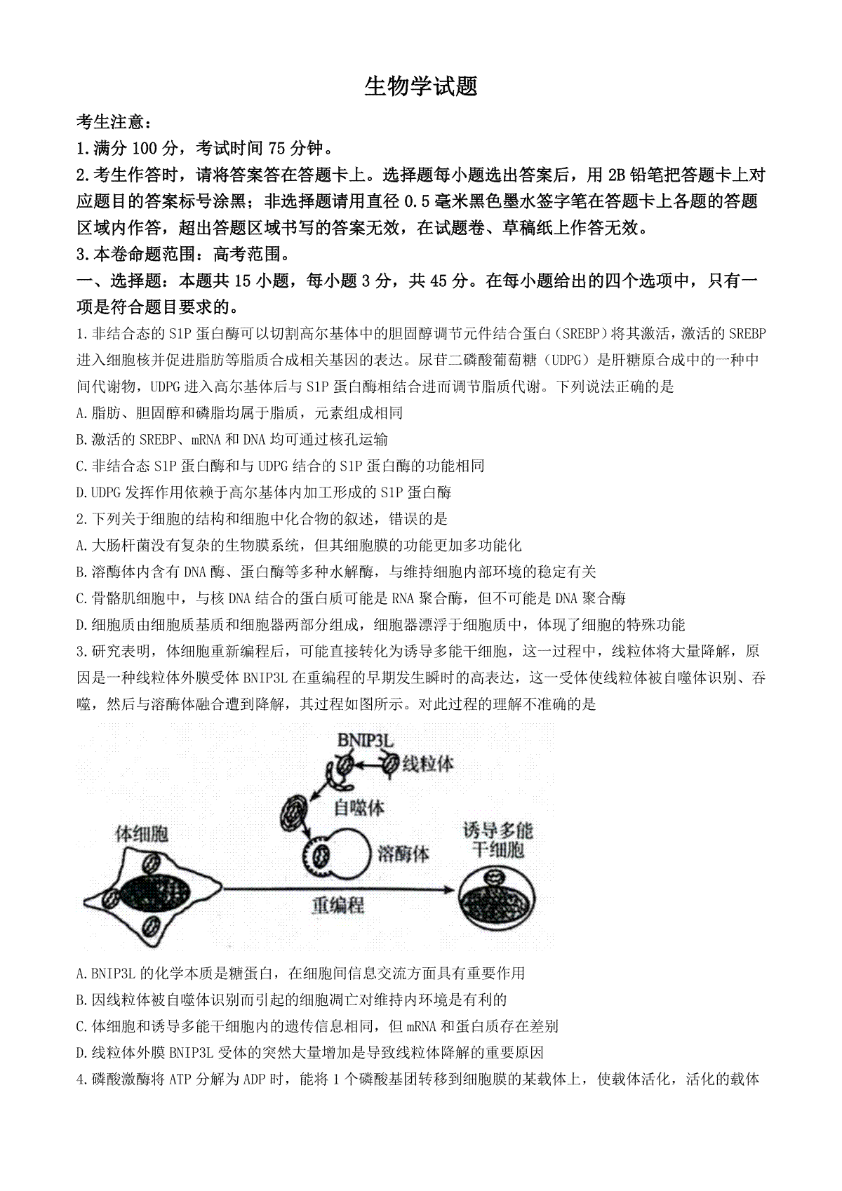 安徽省县中联盟2024-2025学年高三上学期9月开学联考生物试题