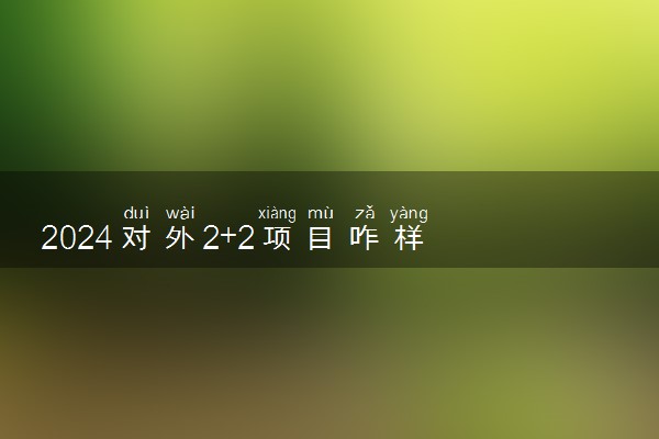 2024对外2+2项目咋样 学历国家承认吗