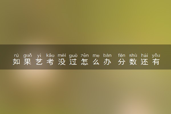 如果艺考没过怎么办 分数还有没有用了