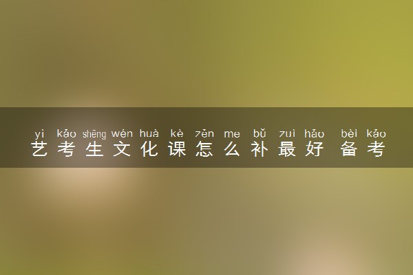 艺考生文化课怎么补最好 备考技巧有哪些