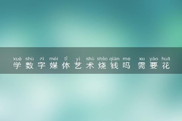 学数字媒体艺术烧钱吗 需要花费多少