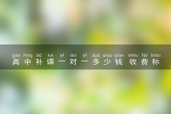 高中补课一对一多少钱 收费标准是怎样的