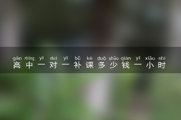 高中一对一补课多少钱一小时 哪家补课班好