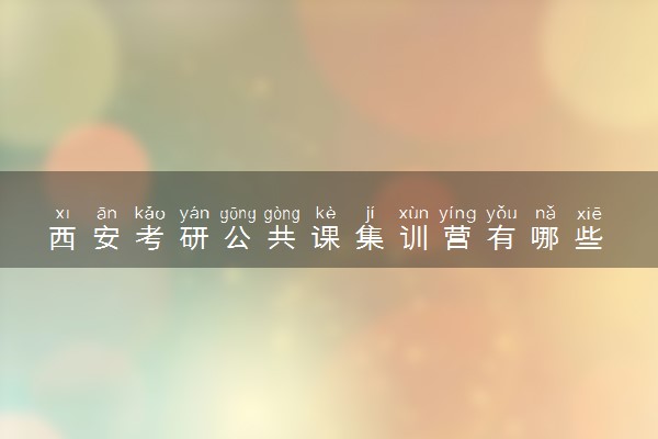 西安考研公共课集训营有哪些