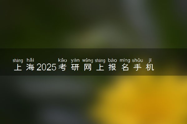 上海2025考研网上报名手机端入口 报名流程是什么