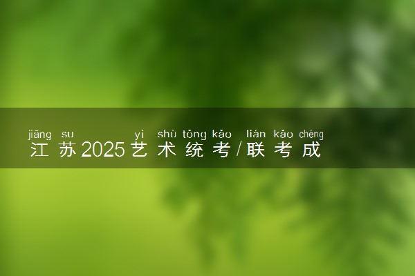 江苏2025艺术统考/联考成绩公布时间 什么时候出分