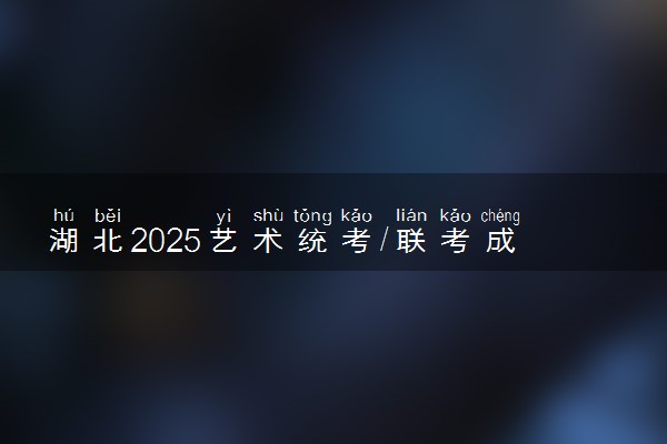 湖北2025艺术统考/联考成绩公布时间 什么时候出分