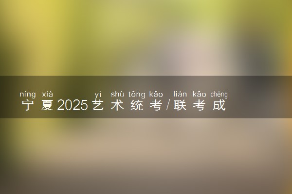 宁夏2025艺术统考/联考成绩公布时间 什么时候出分