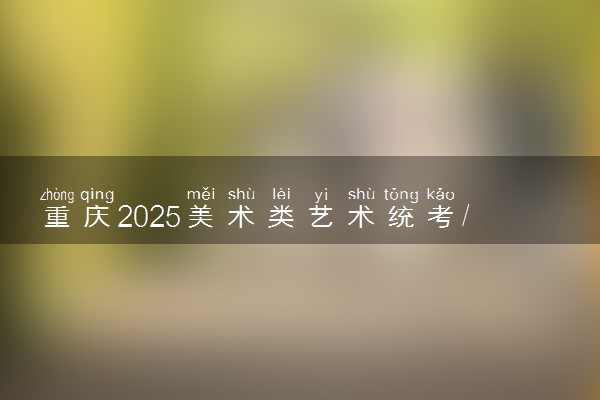 重庆2025美术类艺术统考/联考满分多少 各科分值是多少