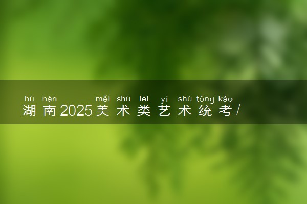 湖南2025美术类艺术统考/联考哪天考试 考完后多久出分