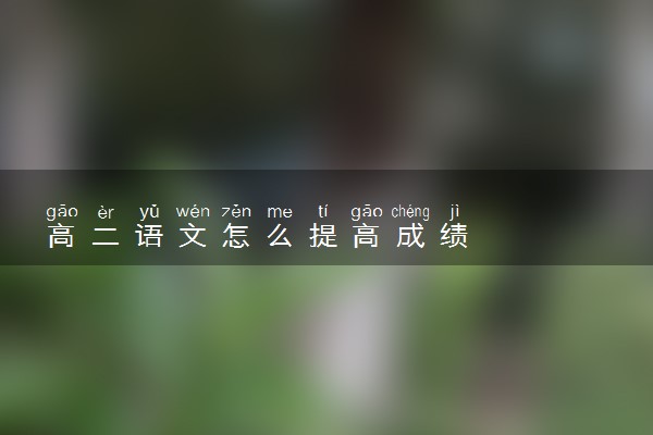 高二语文怎么提高成绩