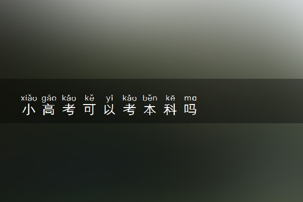 小高考可以考本科吗