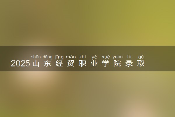 2025山东经贸职业学院录取分数线是多少 各省最低分数线汇总